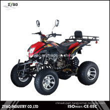 Build Your Own ATV Kits 250cc EEC on Road Quad